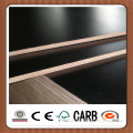 Black Film Faced Plywood Manufacturers with Brand Name